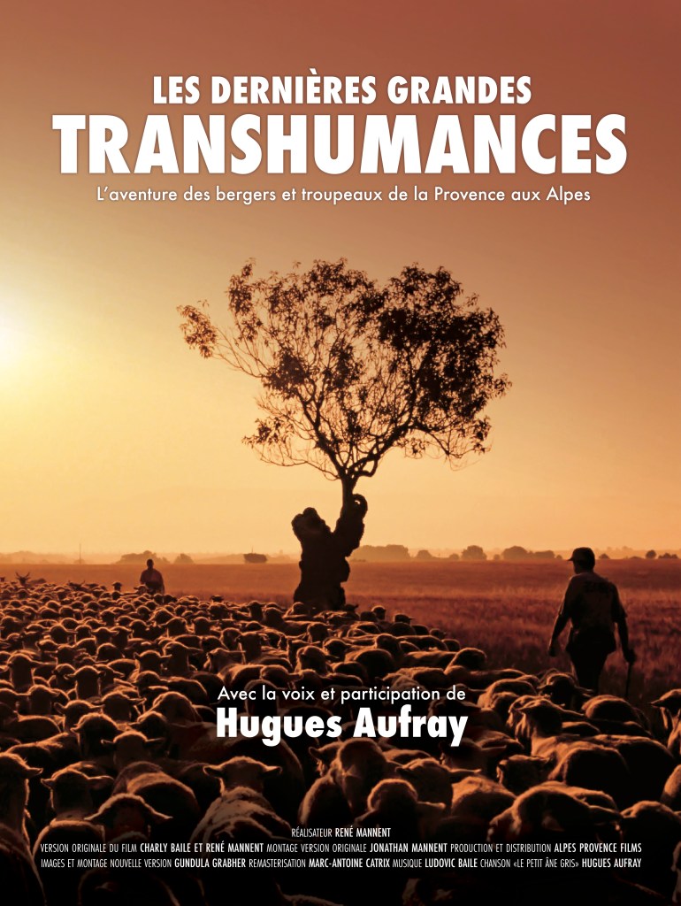 Affiche du film Les Dernières Grandes Transhumances, avec la voix et la participation de Hugues Aufray, offrant une immersion poignante dans l'univers des transhumances, tout en mettant en valeur le patrimoine culturel et naturel des montagnes.